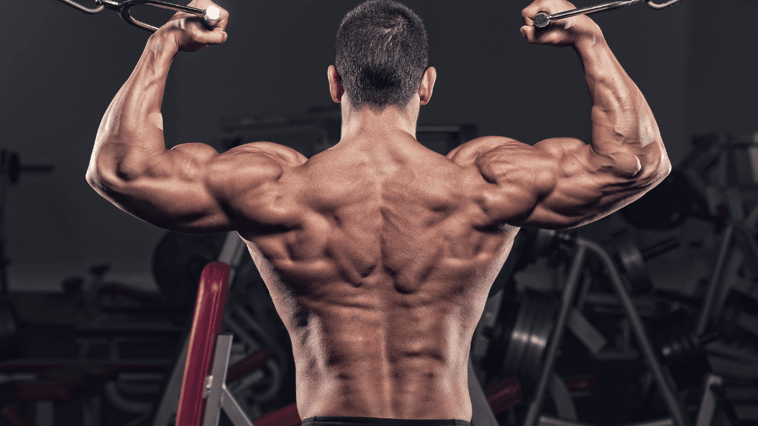 Mass Gainer Blog Option 3 Image withing blog 1080 ×